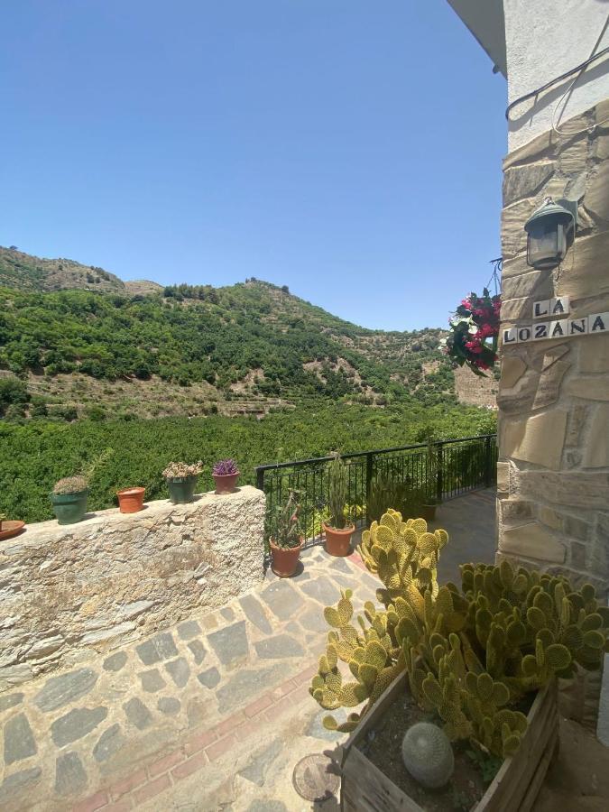 La Lozana - Rio Verde Jete Exteriör bild